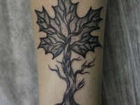 Татуировка кленовый листок на руке