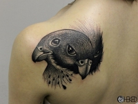 Татуировка голова птицы на лопатке