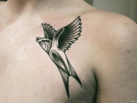 Татуировка летящей птицы на груди сбоку