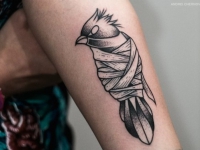 Татуировка связанной птицы на плече