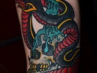 Татуировка змея на предплечье
