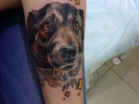 Татуировка собака на предплечье