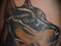 Татуировка голова собаки