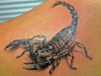 Татуировка скорпион на лопатке