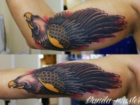 Татуировка орёл на плече