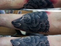 Татуировка волк на предплечье