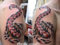 Татуировка скорпион на плече