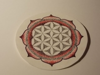 36b