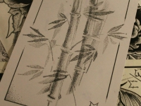 5b