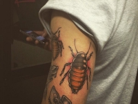 Цветная татуировка тараканов на руке