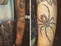 Татуировка паук с паутиной  на руке