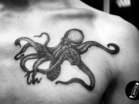 Татуировка осьминог на груди