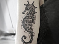 Татуировка морской конёк на плече