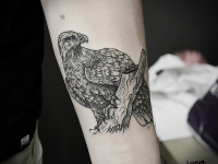 Татуировка птица на предплечье