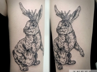 Татуировка заяц на задних лапах