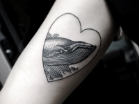 Татуировка кит в сердце на предплечье