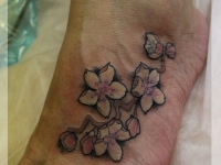 Татуировка ветка сакуры на ступне