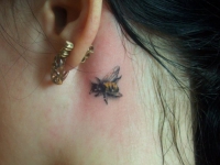 Татуировка пчелы за ухом