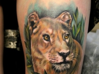Татуировка львицы на охоте на руке