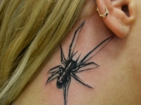 Татуировка паук за ухом