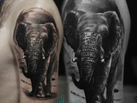 Татуировка на плече идущий слон