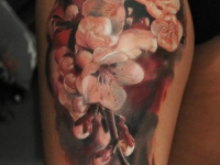 Ветка цветущей вишни на руке