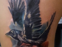 Татуировка птица и роза