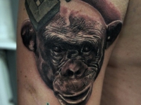 Татуировка голова обезьяны на плече