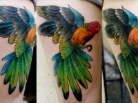 Татуировка попугай на бедре