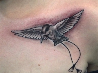 Татуировка птичка на плече