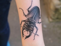 Тату жук олень на руке