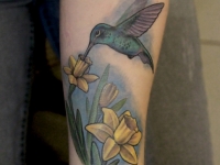 Татуировка колибри на нарциссе на предплечье