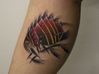 Татуировка жук на икре