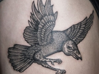 Татуировка птица на бедре