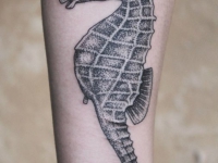 Татуировка морской конек на предплечье