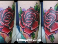 Татуировка роза