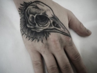 Татуировка череп птицы на кисти