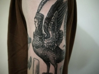 Татуировка птица на плече