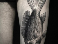 Татуировка рыба на бедре