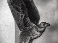 Татуировка птица на боку