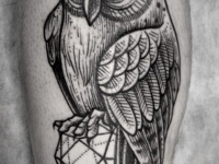 Татуировка сова на икре