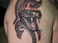 Татуировка голова змеи на плече