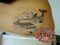 Татуировка дельфин на животе