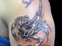 Татуировка скорпион на плече