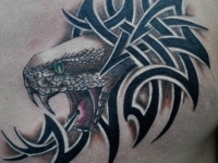 Татуировка голова змеи и узор на груди