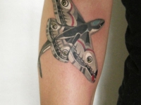 Татуировка рыба на плече