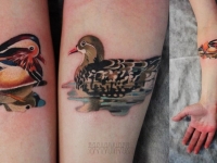 Татуировка утка на предплечье