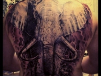 Татуировка голова слона на спине