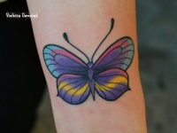 Разноцветная бабочка на руке