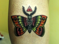 Татуировка бабочка на икре